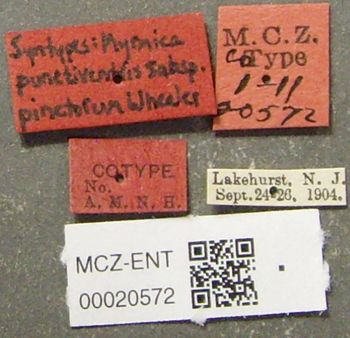 Media type: image;   Entomology 20572 Aspect: labels
